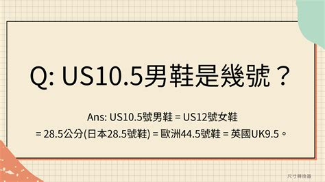 鳥是代表幾號